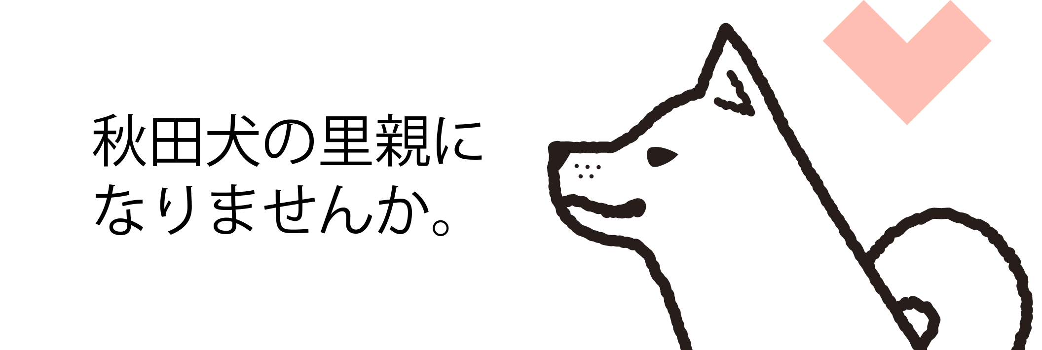 里親募集中！秋田犬の里親になりませんか。