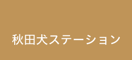 秋田犬ステーション