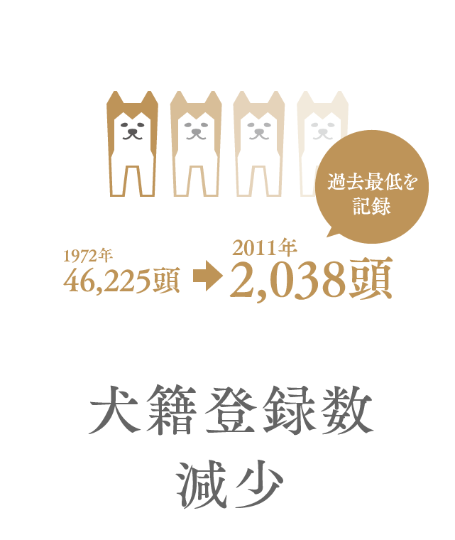 犬籍登録数の減少