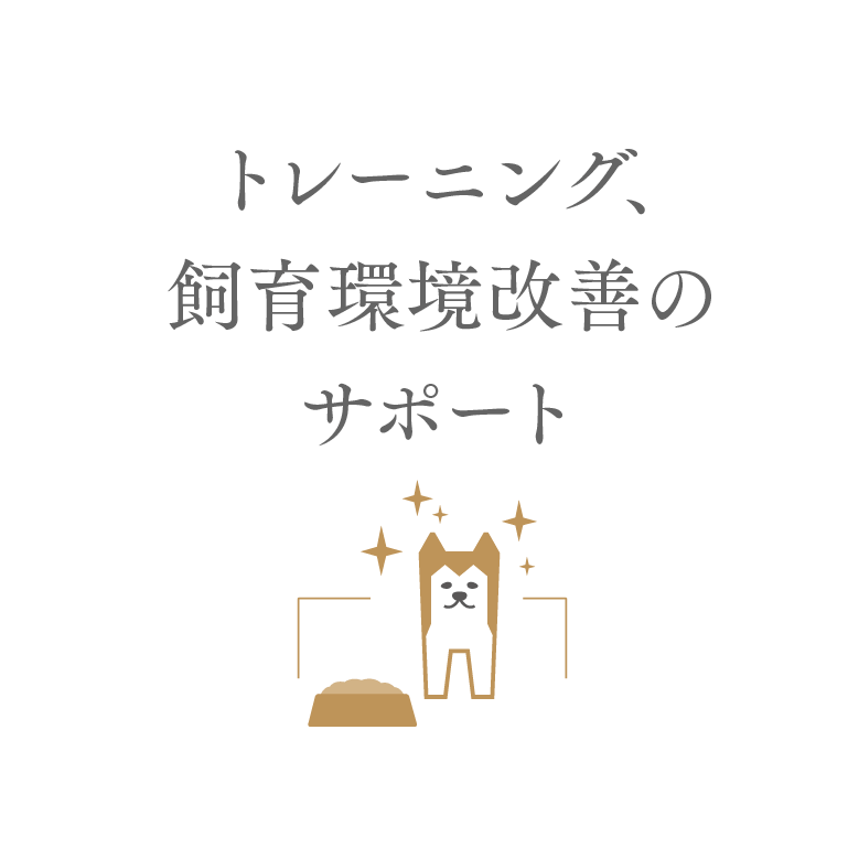 トレーニング、飼育環境改善のサポート