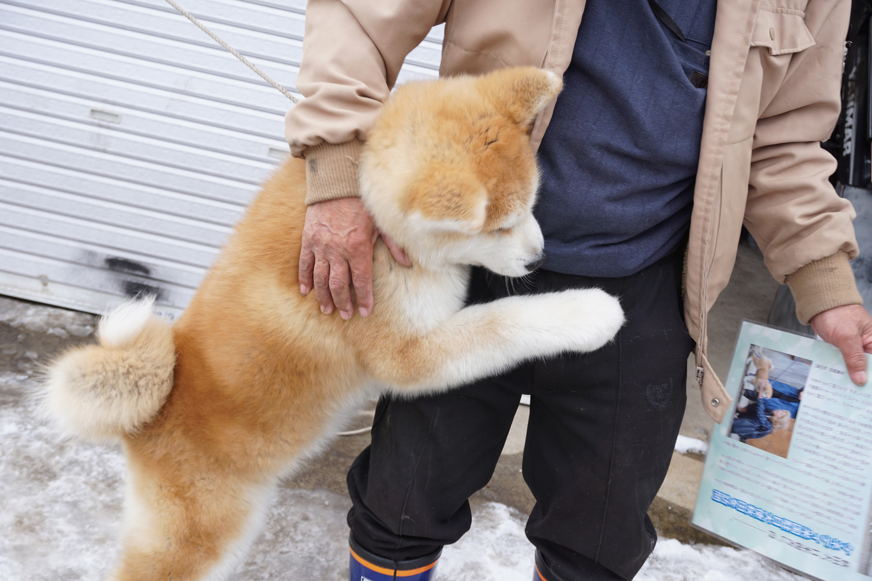 比内三岳荘の元気に遊んでくれた子犬ちゃん達