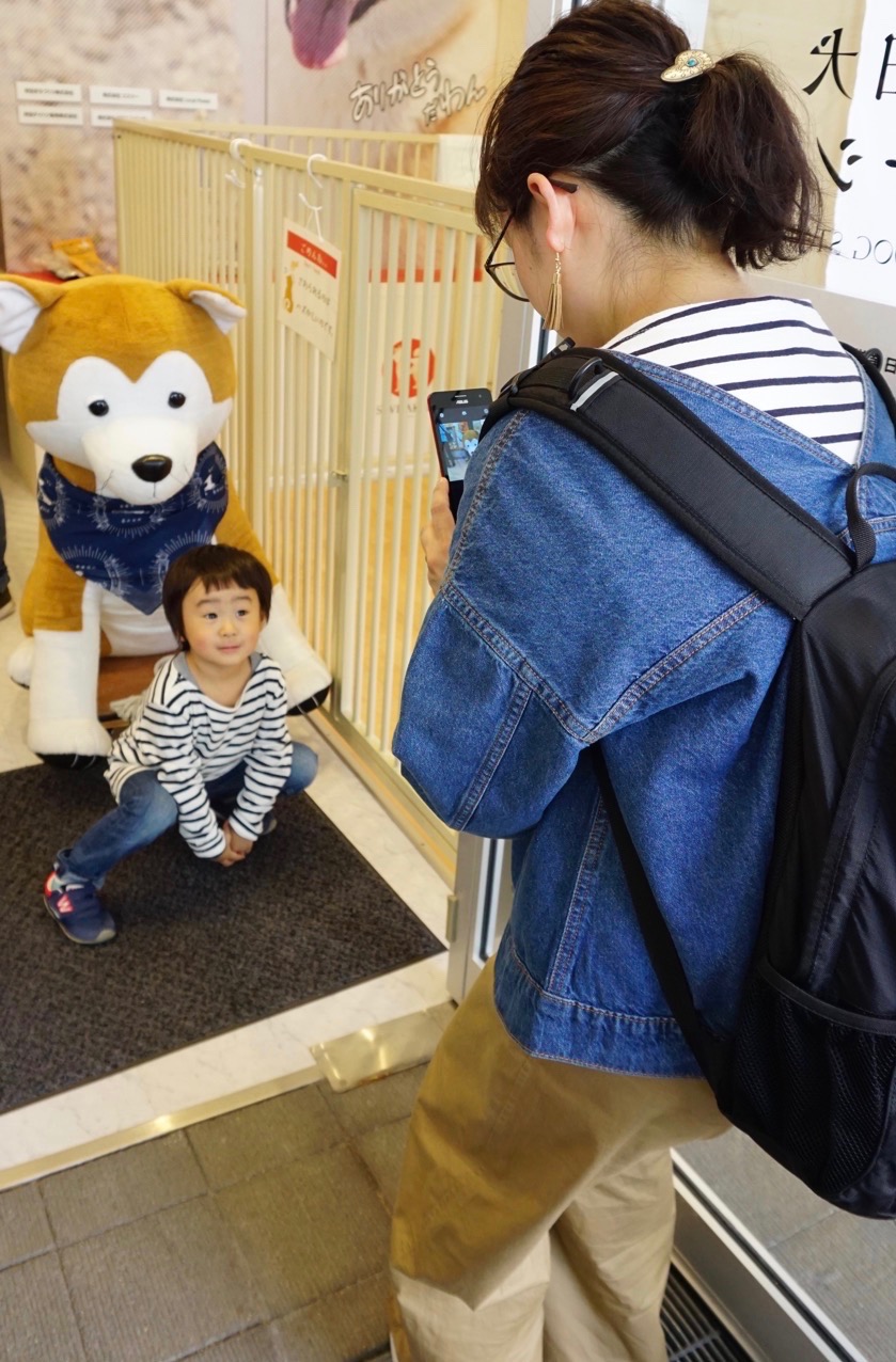 秋田犬ステーション、好評活動中