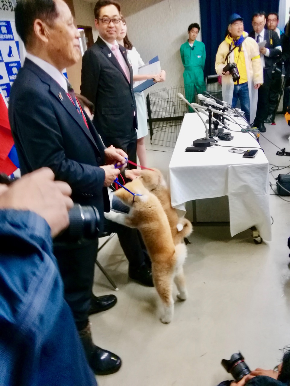 編集長取材日記◆世界一有名な「MASARU」お披露目