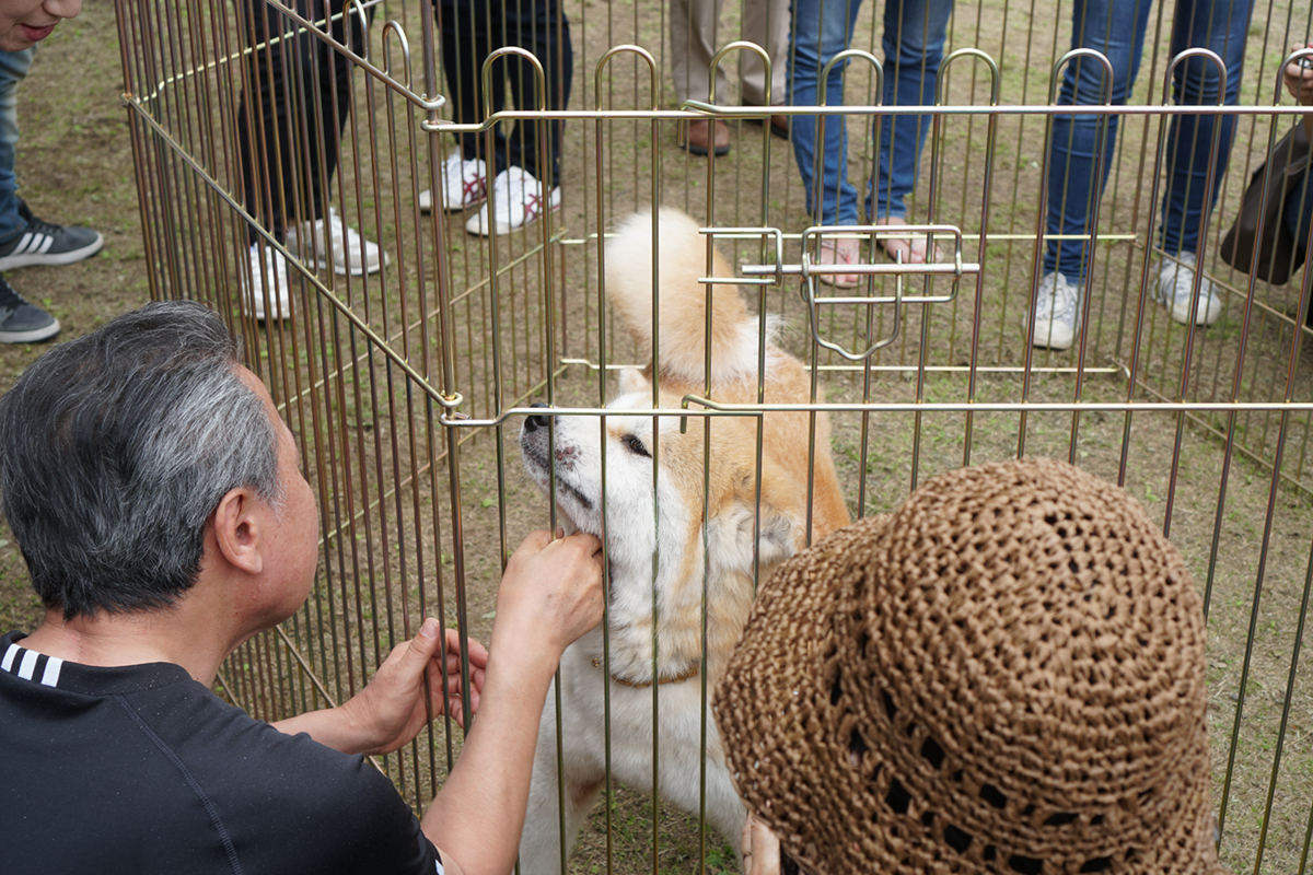 編集部取材日記◆秋田犬ふれあい処 in 千秋公園 オープニングイベント
