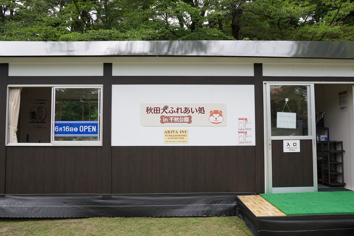 編集部取材日記◆秋田犬ふれあい処 in 千秋公園 オープニングイベント