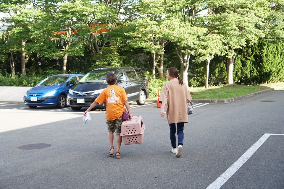 編集部取材日記◆秋田犬の仔犬、里親さんのもとへ