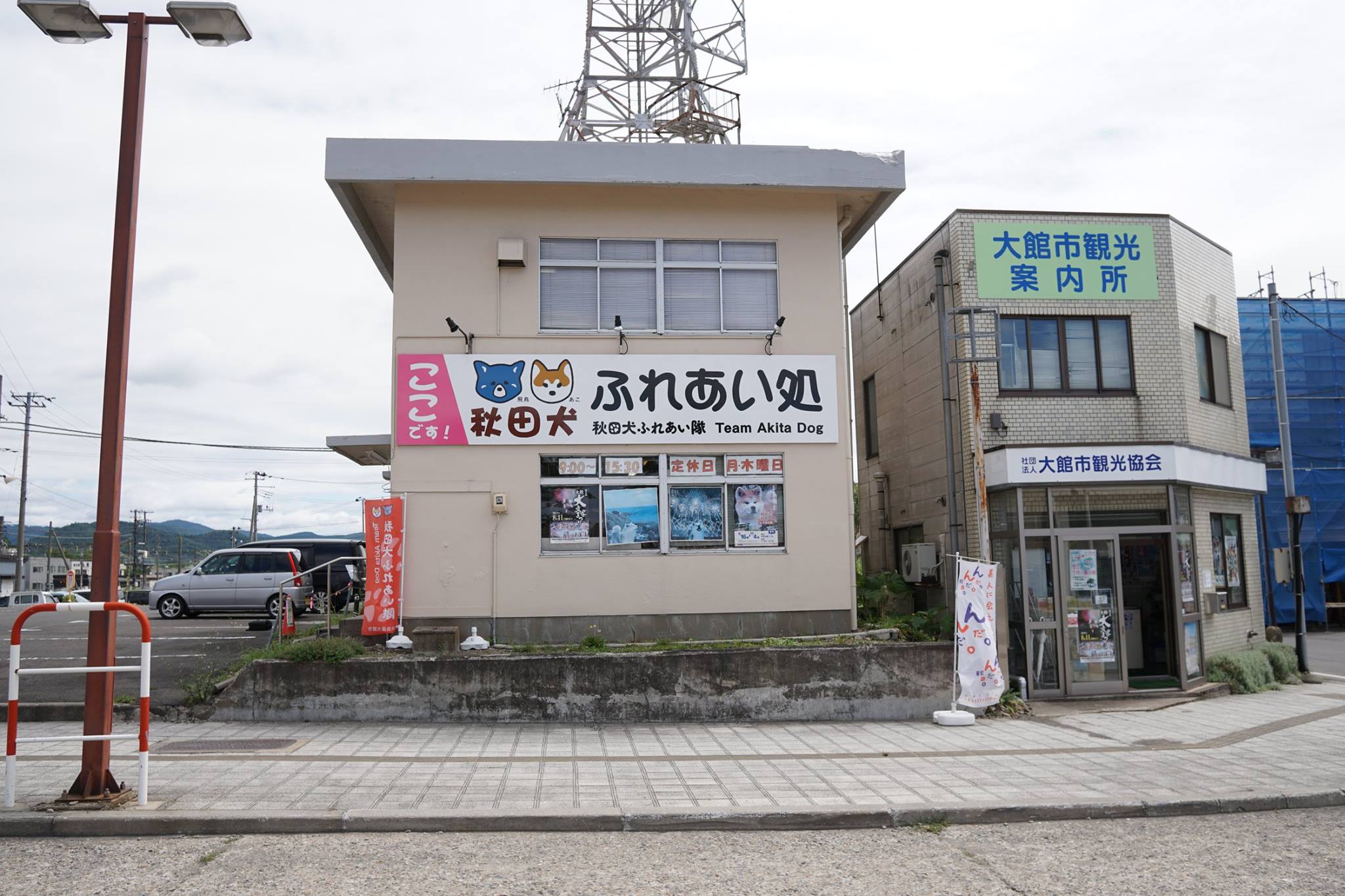 秋田犬に会いに行く◆秋田犬ふれあい処