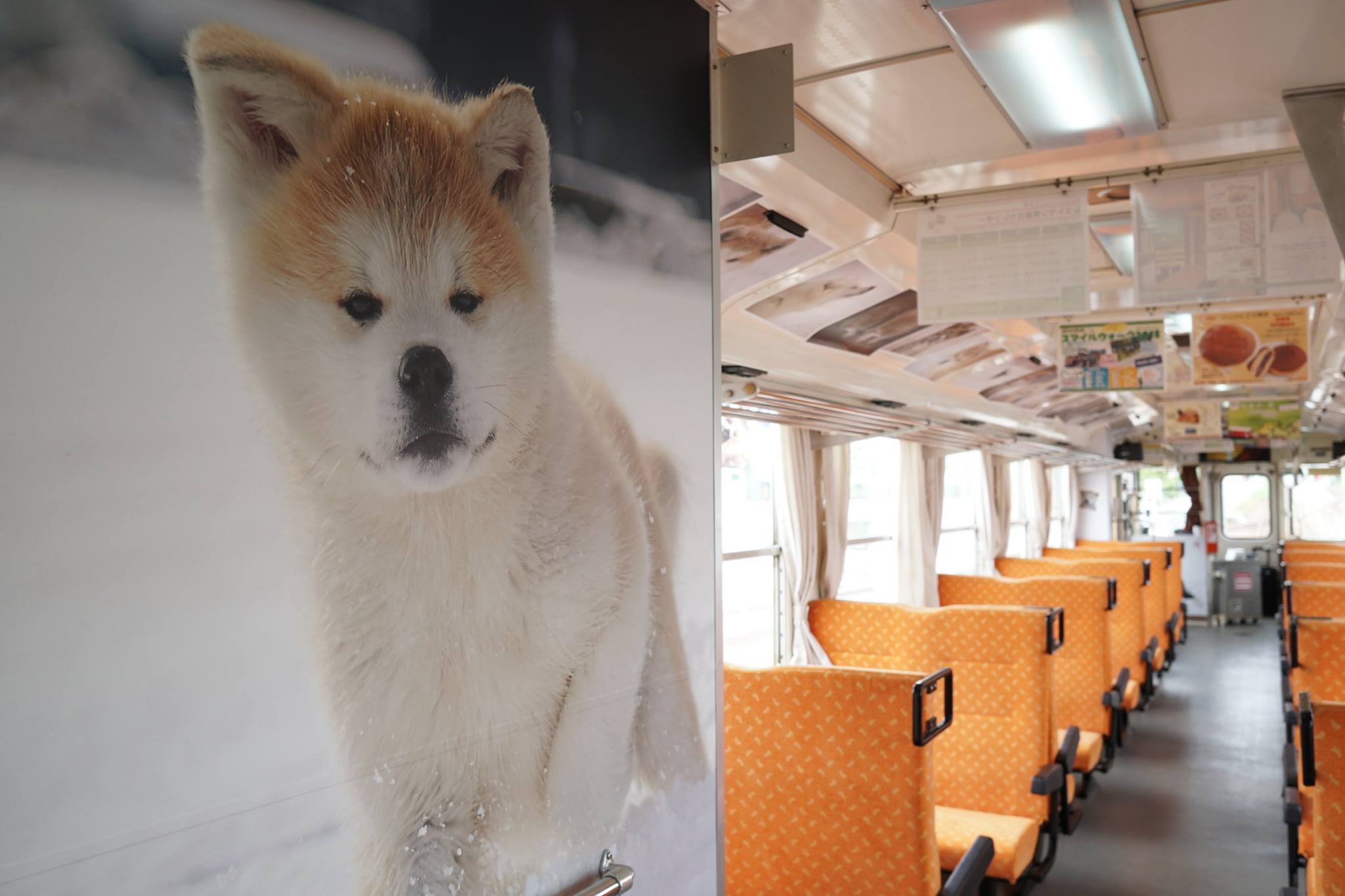編集部取材日記◆犬っこ列車に乗って