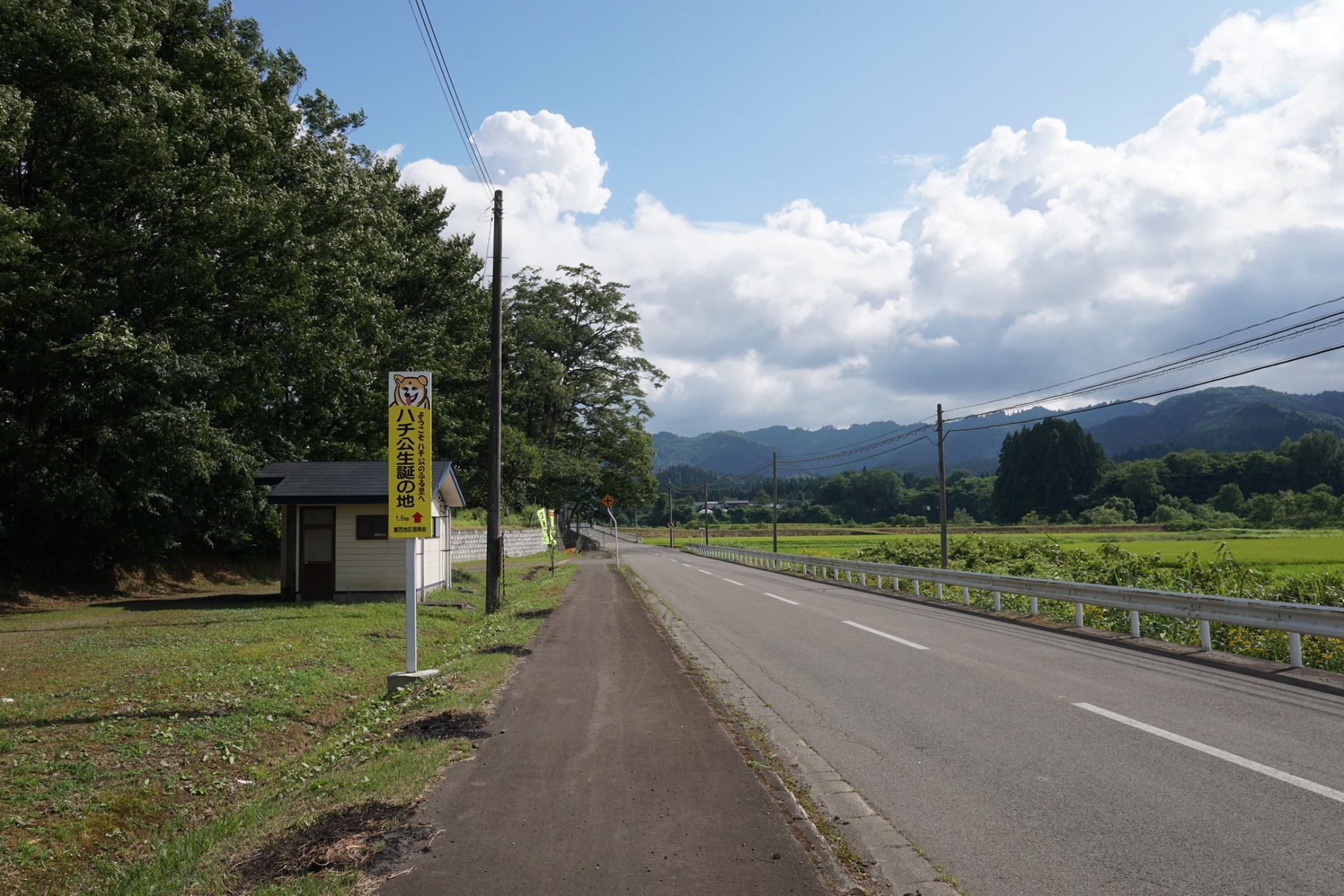 秋田犬の伝説を追って◆ハチ公生誕の地