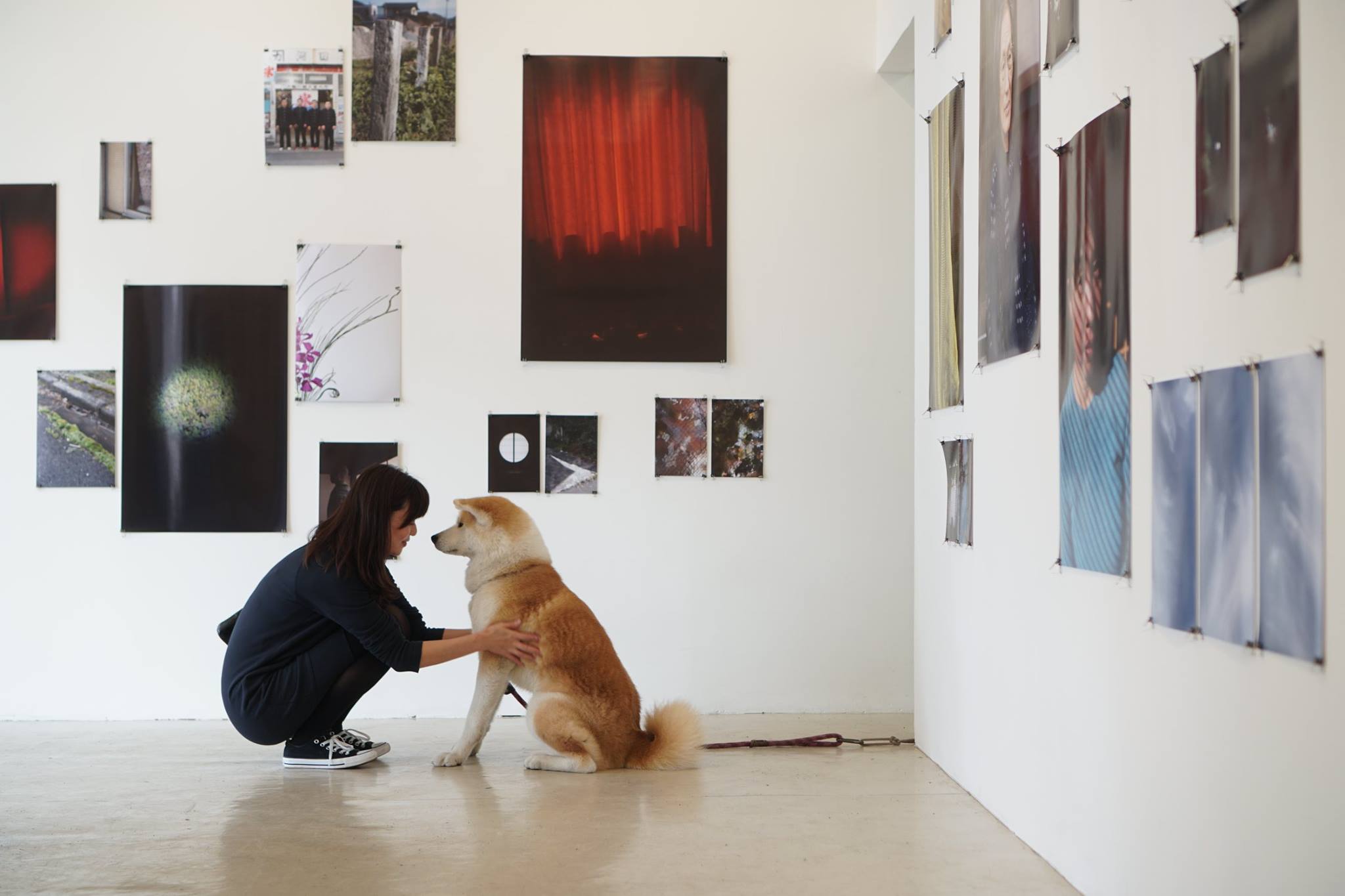 秋田犬に会いに行く◆ゼロダテアートセンター