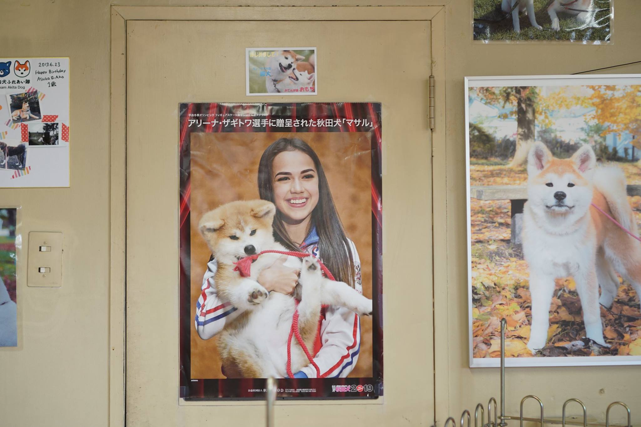 秋田犬に会いに行く◆秋田犬ふれあい処 Part2