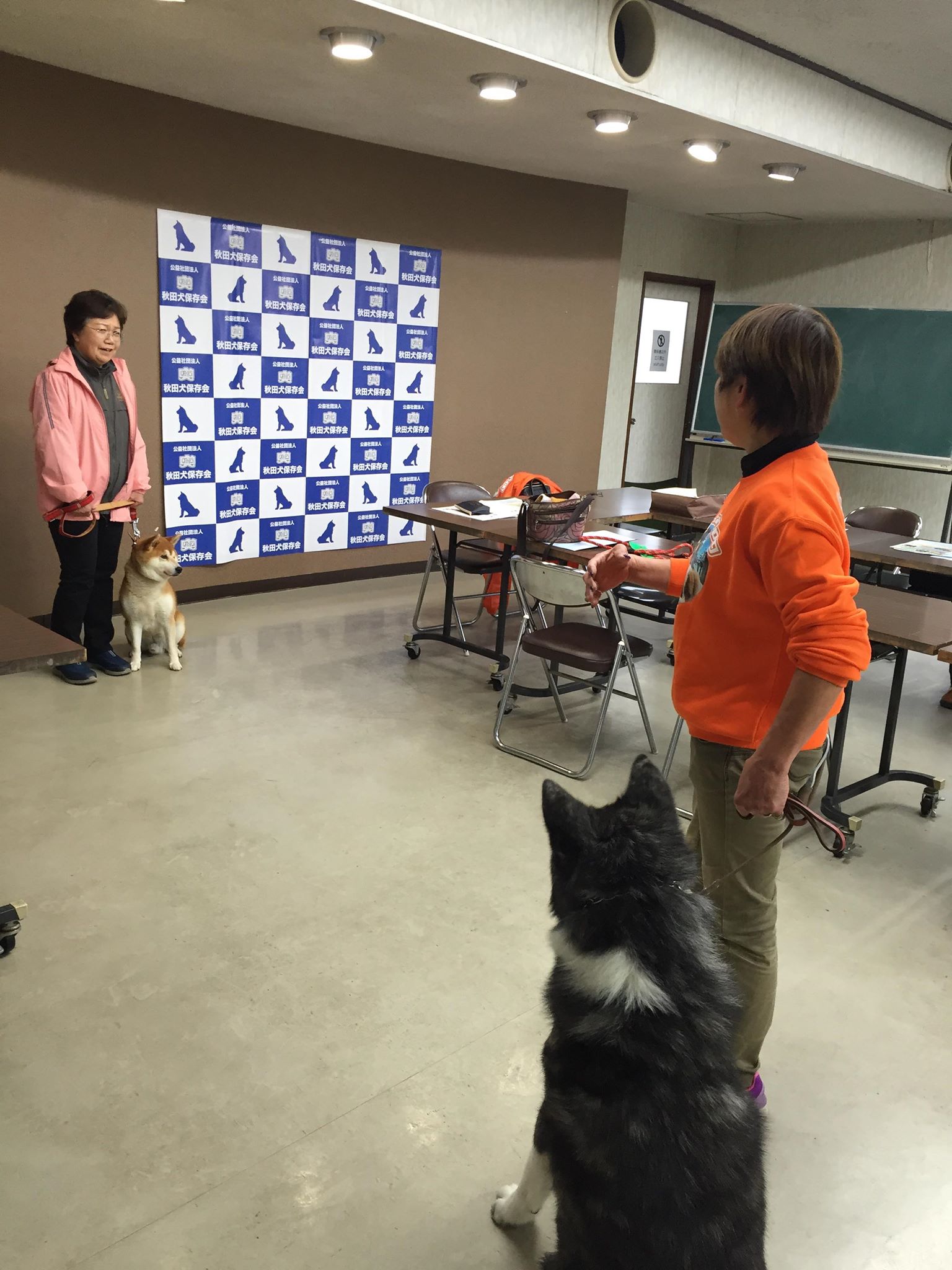 秋田犬の普及活動に取り組む理由