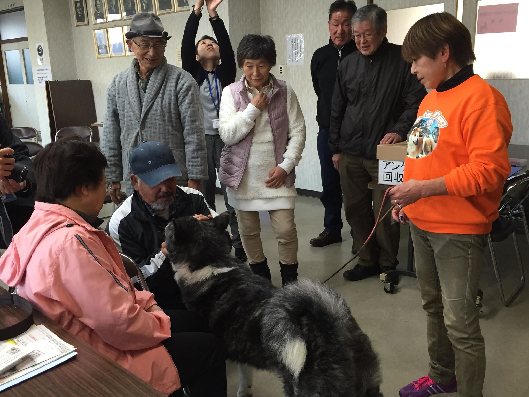 秋田犬の普及活動に取り組む理由