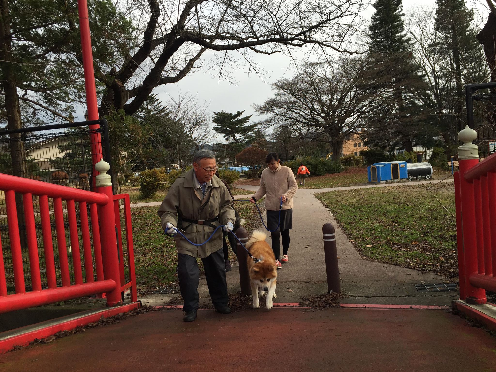 秋田犬の普及活動に取り組む理由