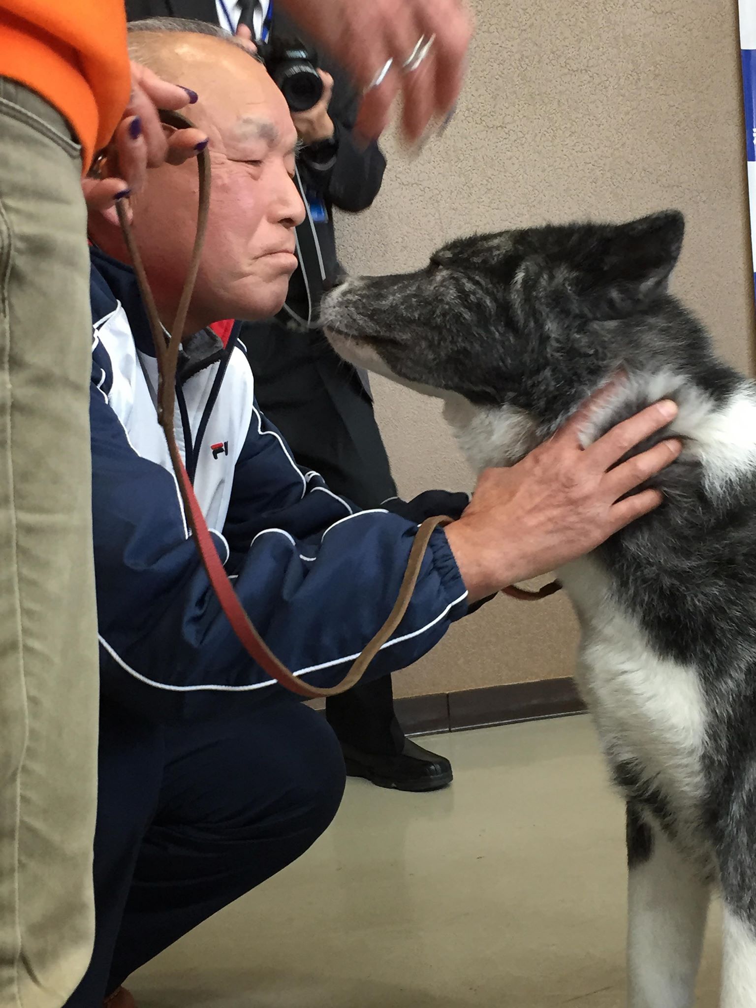 秋田犬の普及活動に取り組む理由