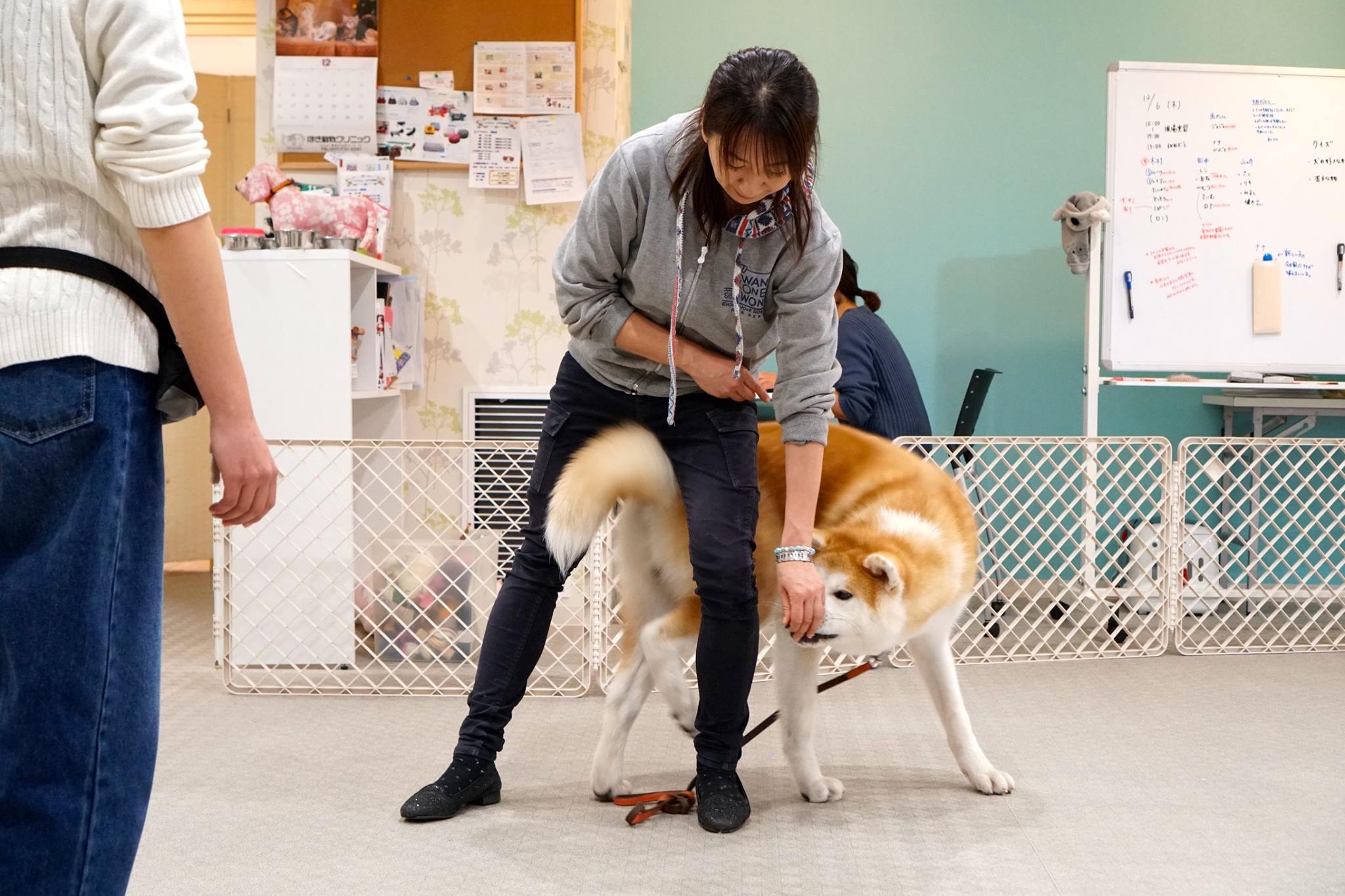 ほき動物クリニック 保木千春さん