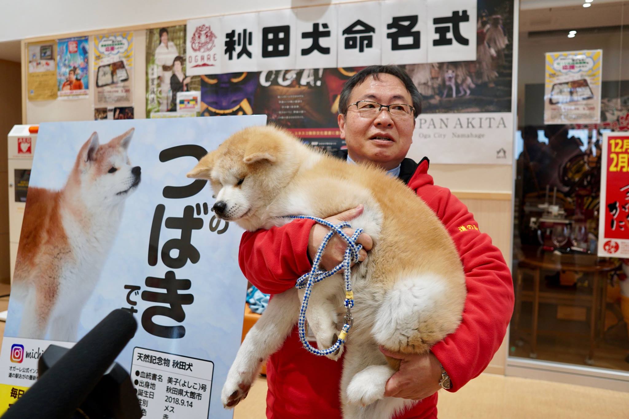 秋田犬に会いに行く◆道の駅おが|なまはげの里オガーレ