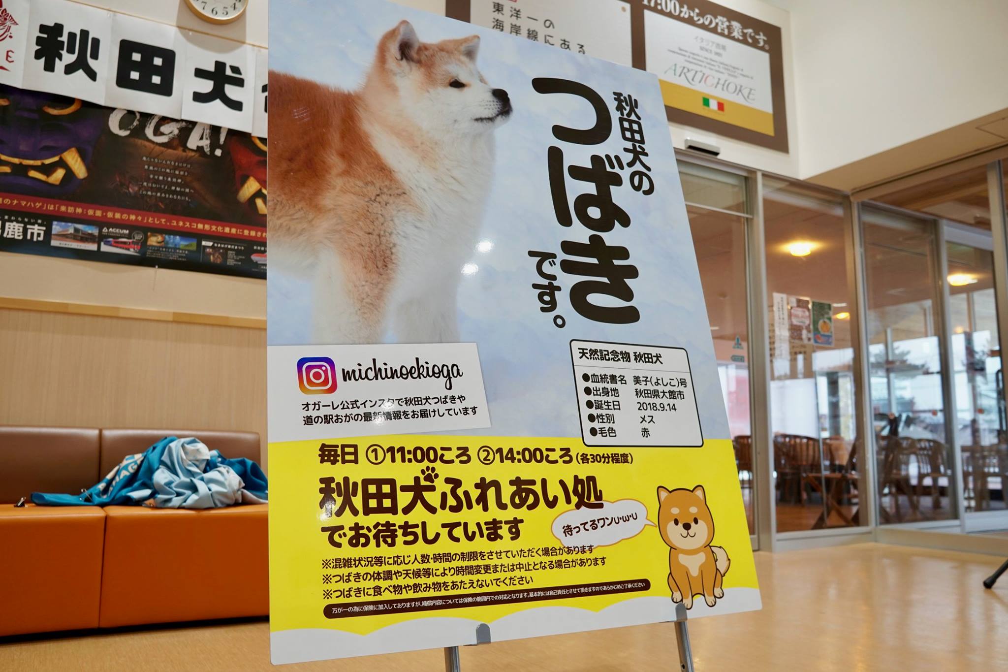 秋田犬に会いに行く◆道の駅おが|なまはげの里オガーレ