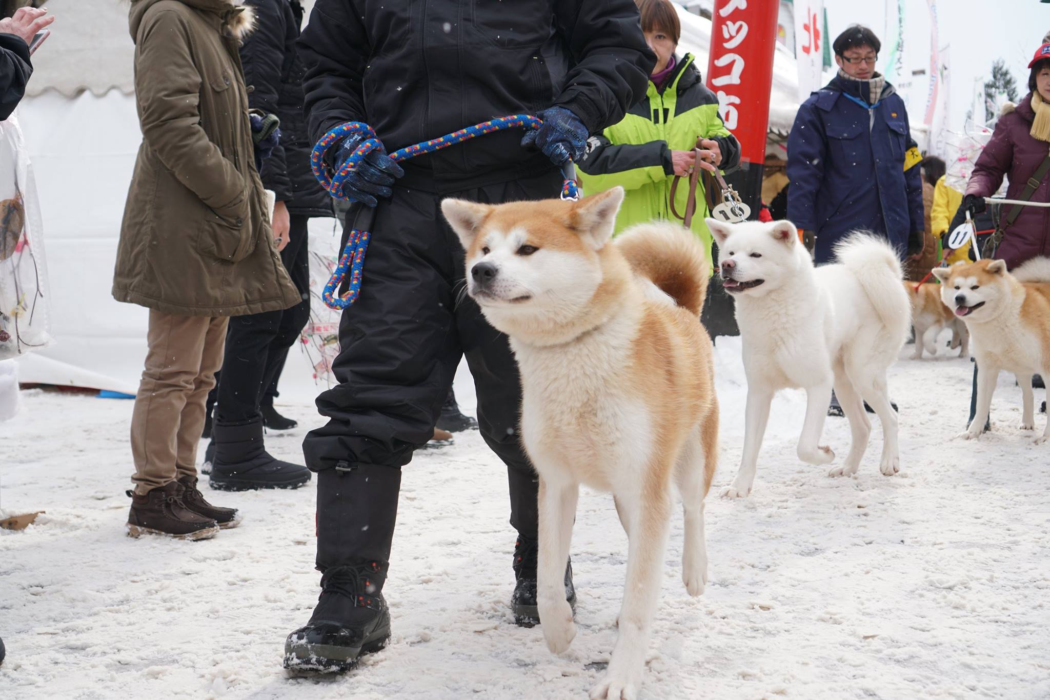 2019年を振り返る<1月〜6月>