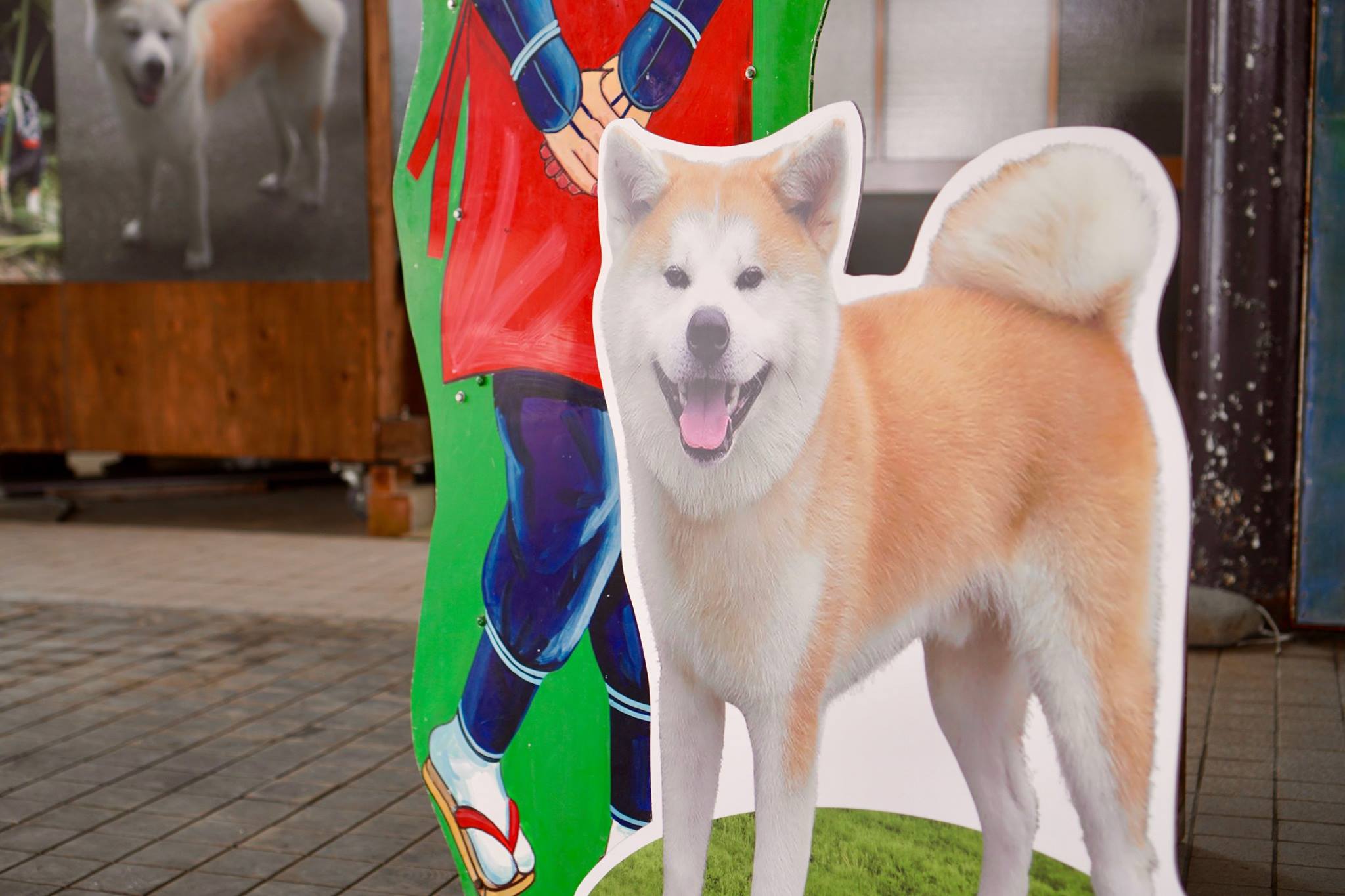 秋田犬に会いに行く◆田沢湖共栄パレス