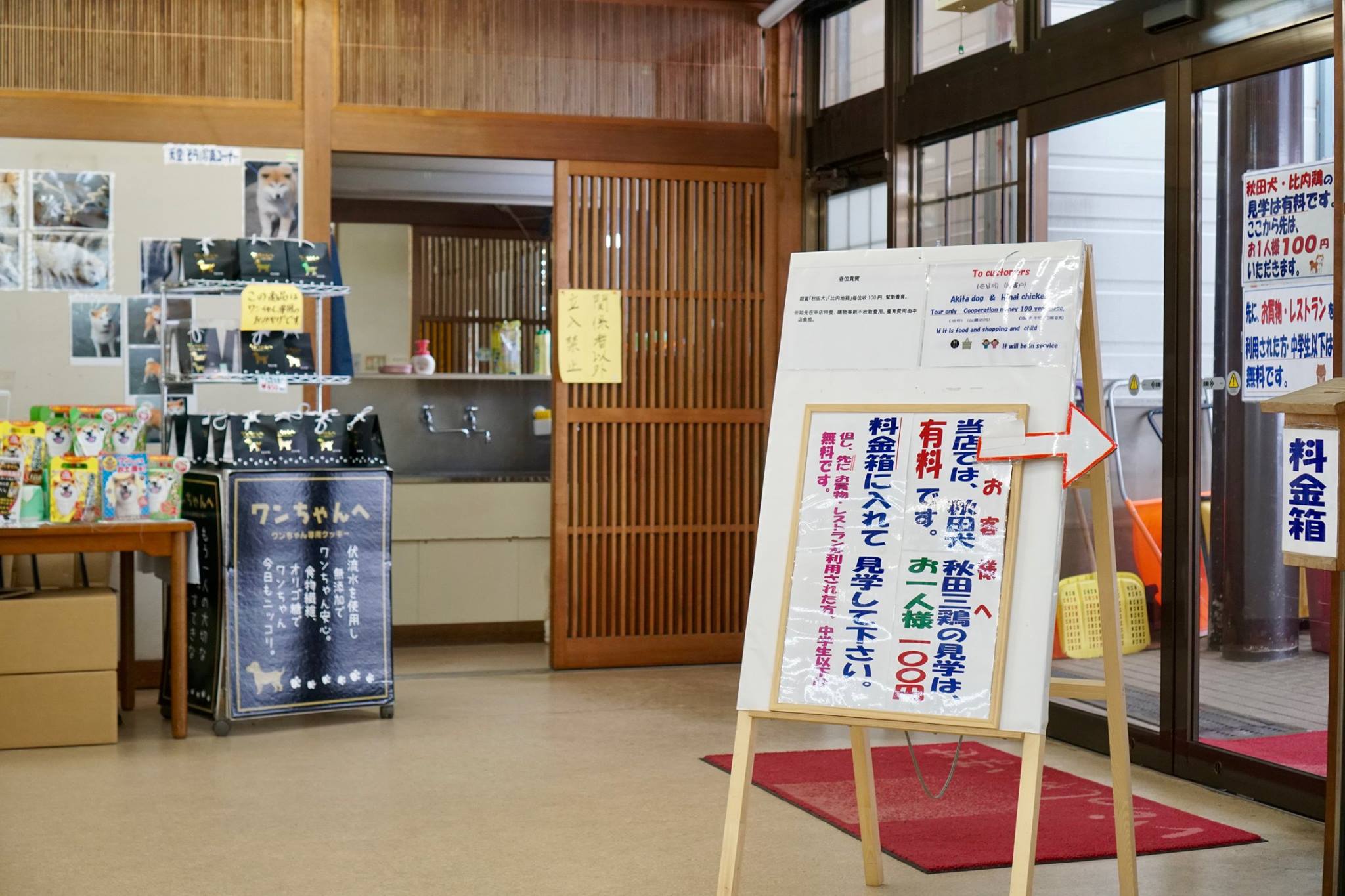 秋田犬に会いに行く◆田沢湖共栄パレス
