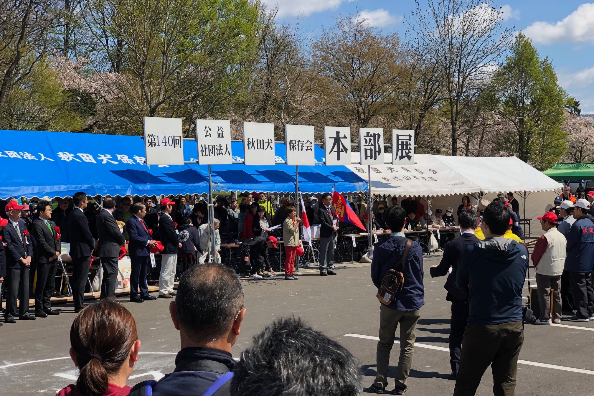秋田犬に会いに行く◆第140回 秋田犬保存会本部展覧会
