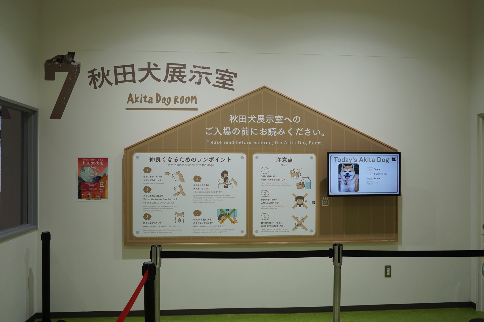 秋田犬に会いに行く◆大館市観光交流施設|秋田犬の里