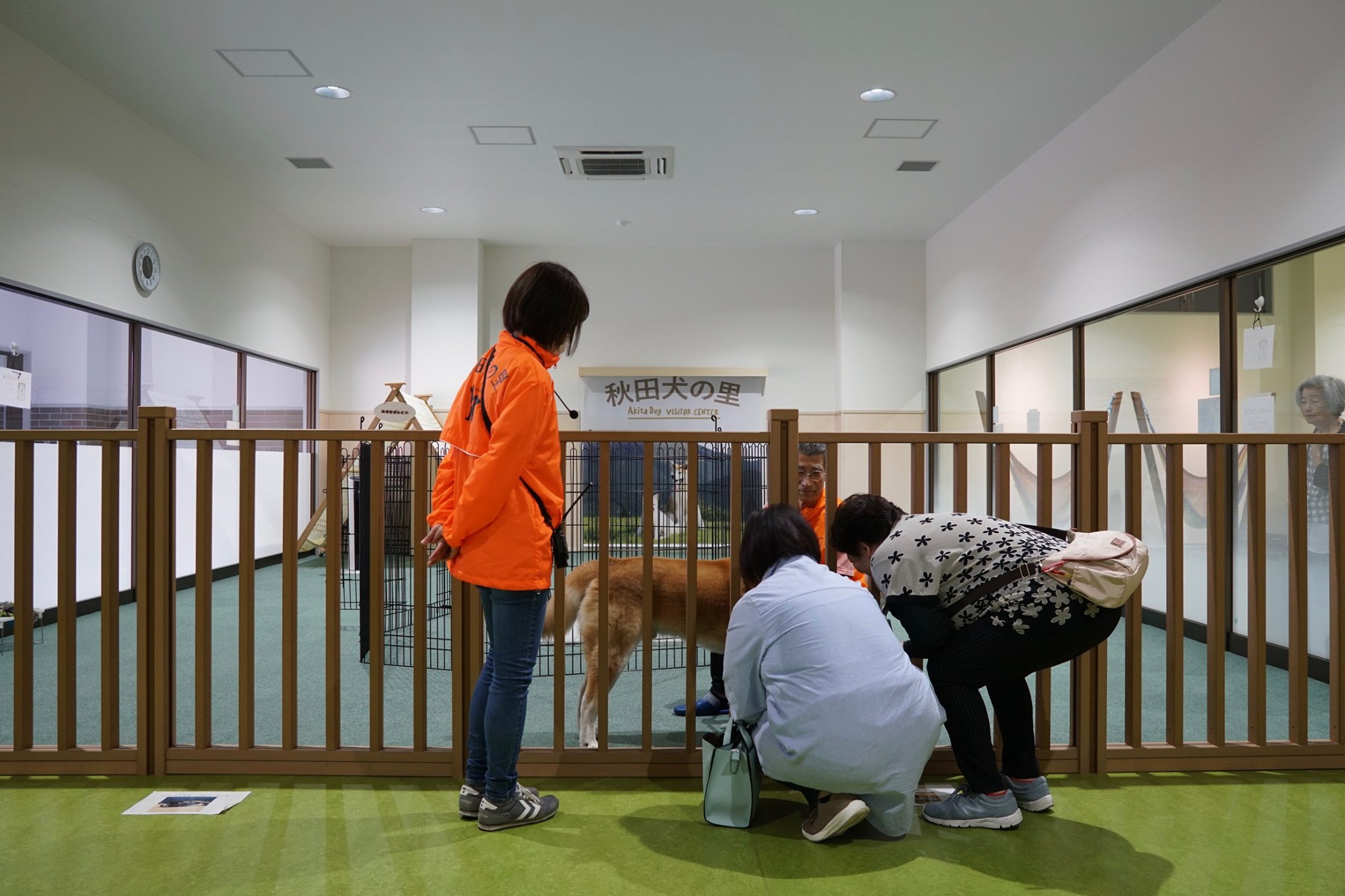 秋田犬に会いに行く◆大館市観光交流施設|秋田犬の里