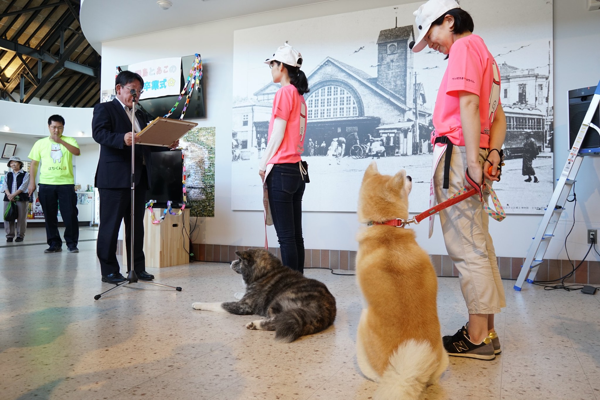 あこ、飛鳥が秋田犬ふれあい隊を卒業します