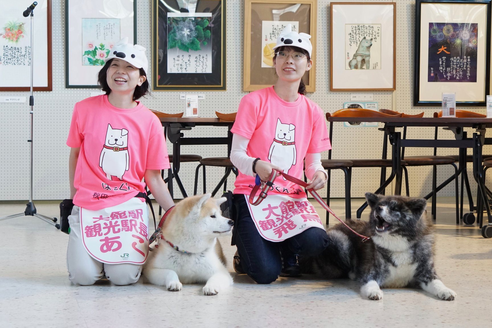 あこ、飛鳥が秋田犬ふれあい隊を卒業します