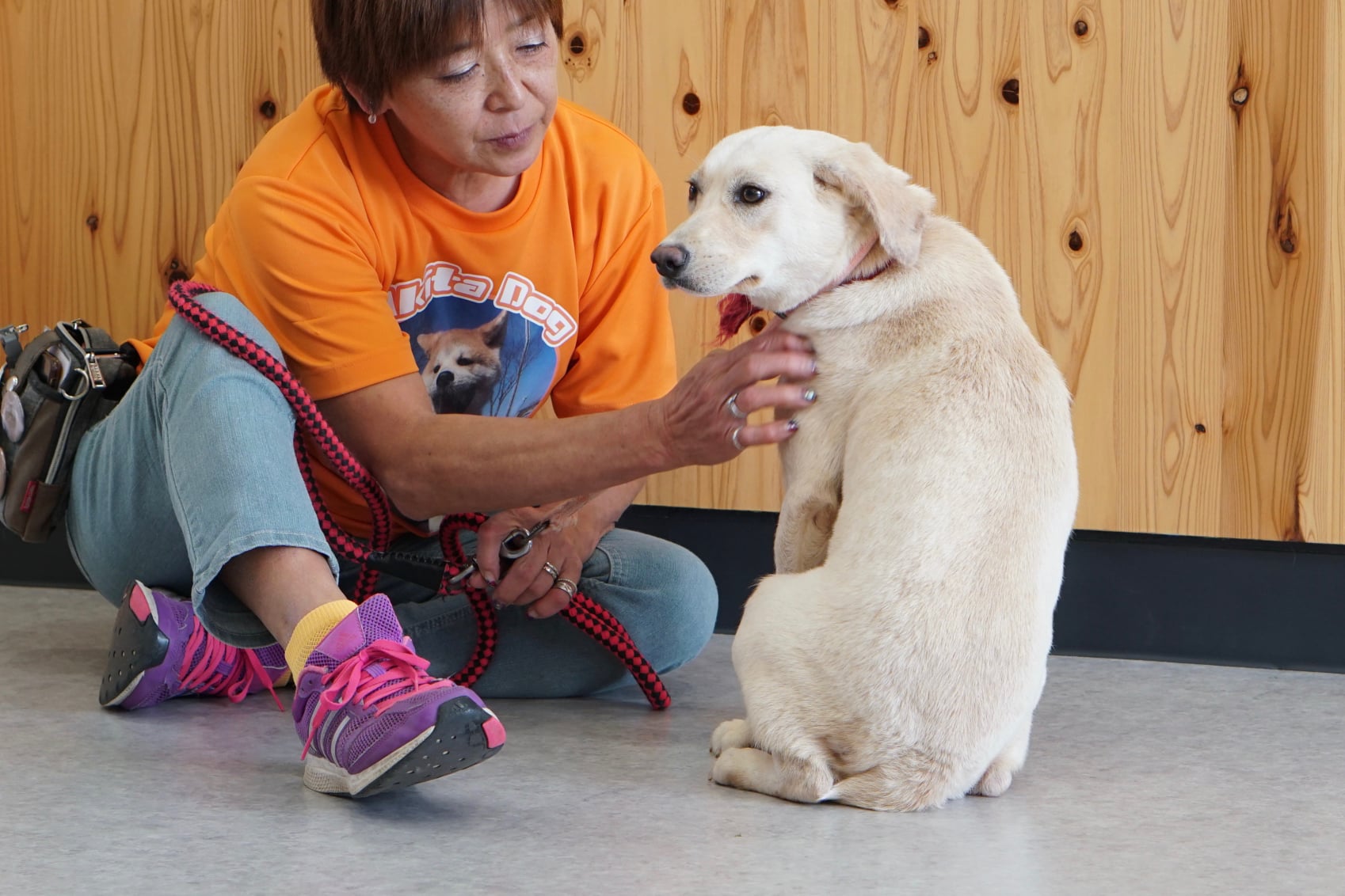 こんなこともやっています　〜保護犬トレーニング〜