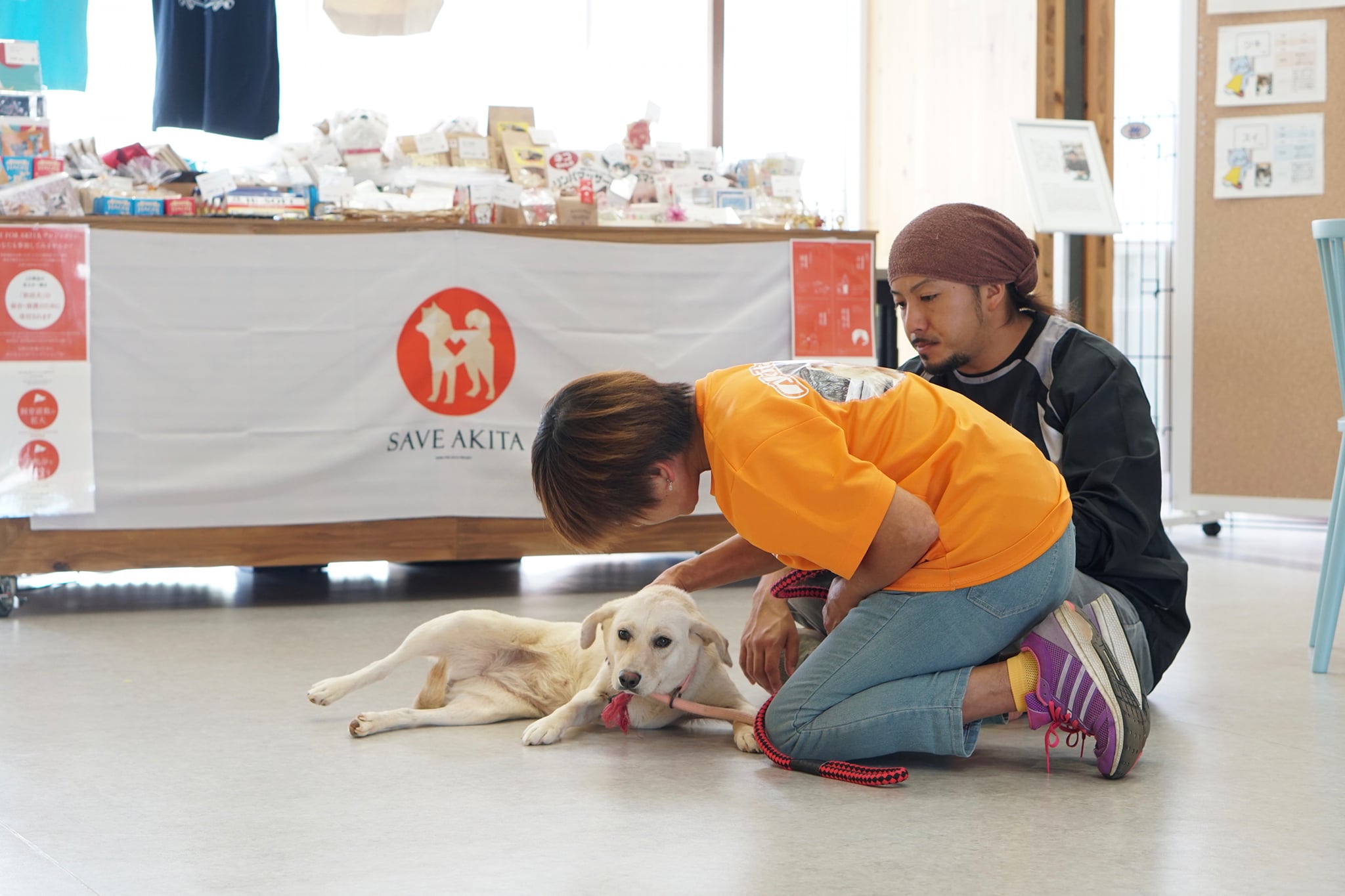 こんなこともやっています　〜保護犬トレーニング〜