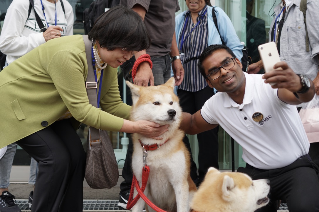 秋田犬に会いに行く◆思いがけず人気者と遭遇!
