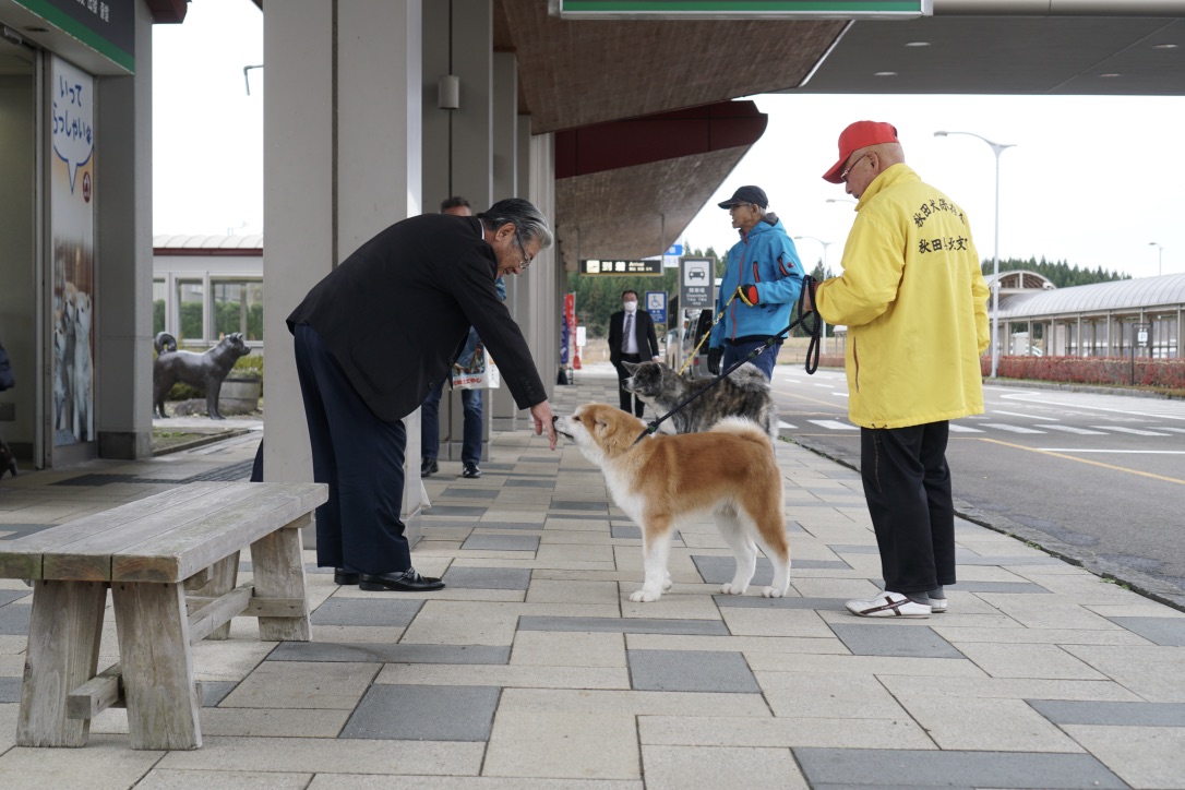 秋田犬に会いに行く◆大館能代空港