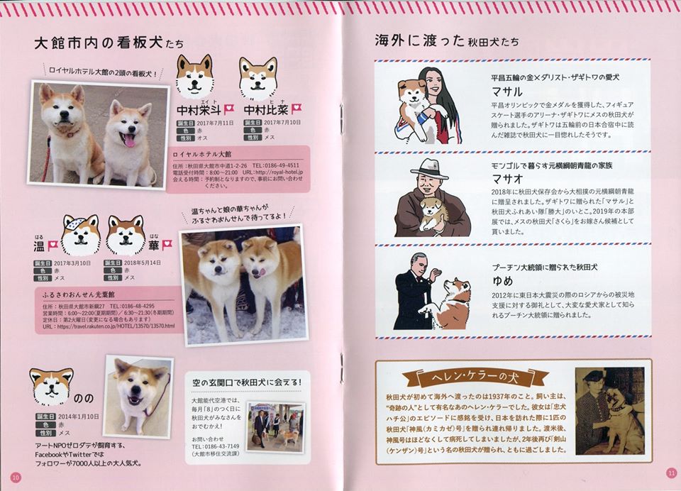秋田犬好きなら受けたい「秋田犬検定」
