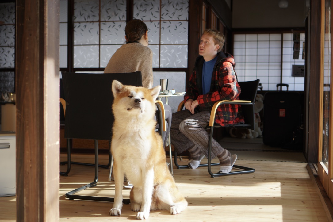 秋田犬に会いに行く◆角館 民泊「縁 Enishi」