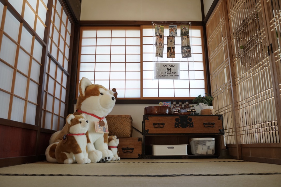 秋田犬に会いに行く◆角館 民泊「縁 Enishi」