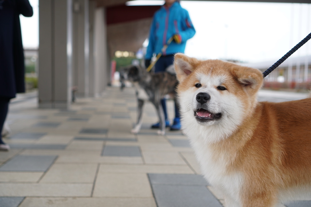 2019年を振り返る<7月〜12月>