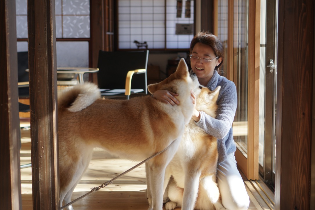 秋田犬に会いに行く◆角館 民泊「縁 Enishi」
