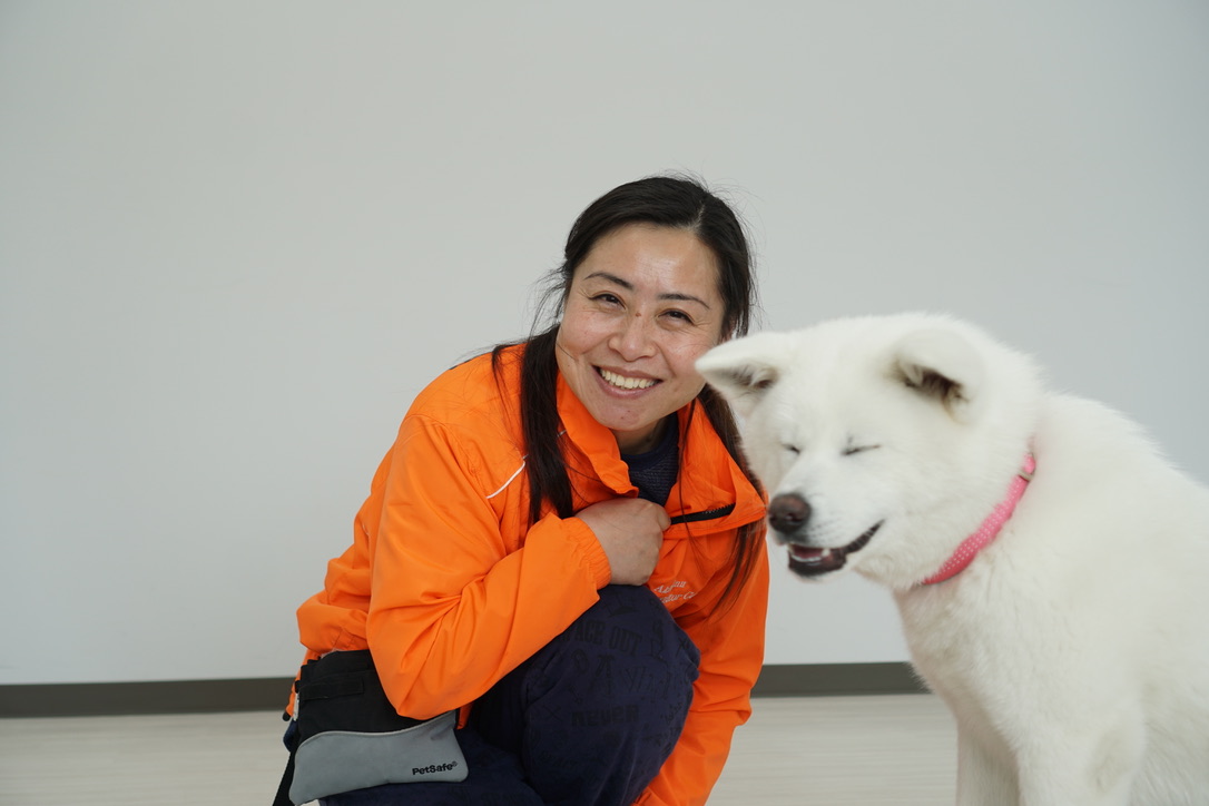 秋田犬に会いに行く◆秋田犬の里・秋田犬展示室(1)