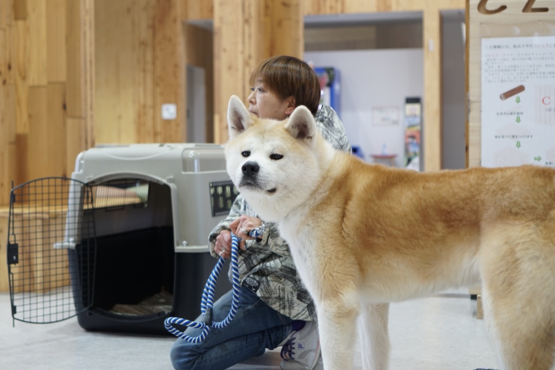 ワンニャピアあきたで、保護犬の譲渡式が行われました。