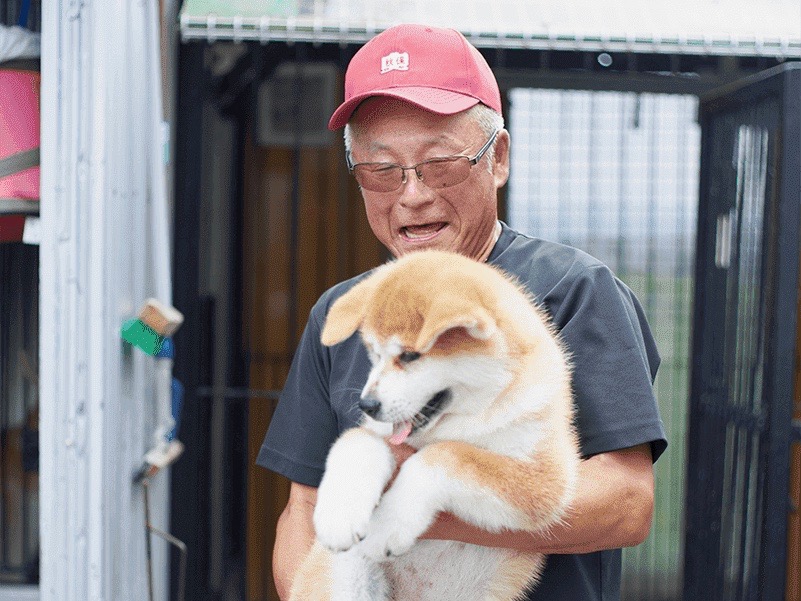 シリーズ「私と秋田犬」vol.1