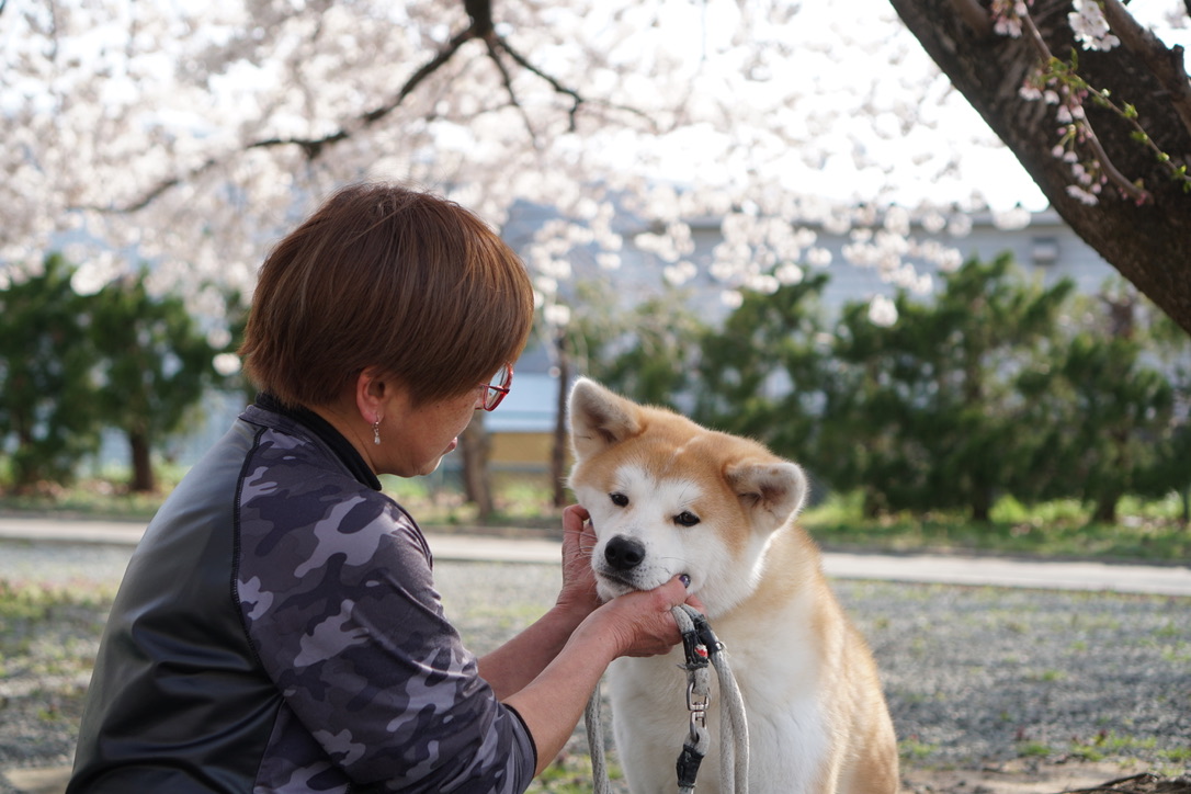 すべての愛犬家に、健康補助食品「ゲンキ・ワン」をオススメします！