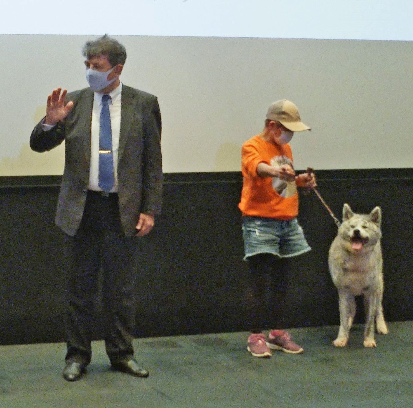 日露共作映画「ハチとパルマの物語」完成披露試写会の舞台あいさつに、秋田犬「さくら」が登壇しました! ONE FOR AKITA プロジェクト