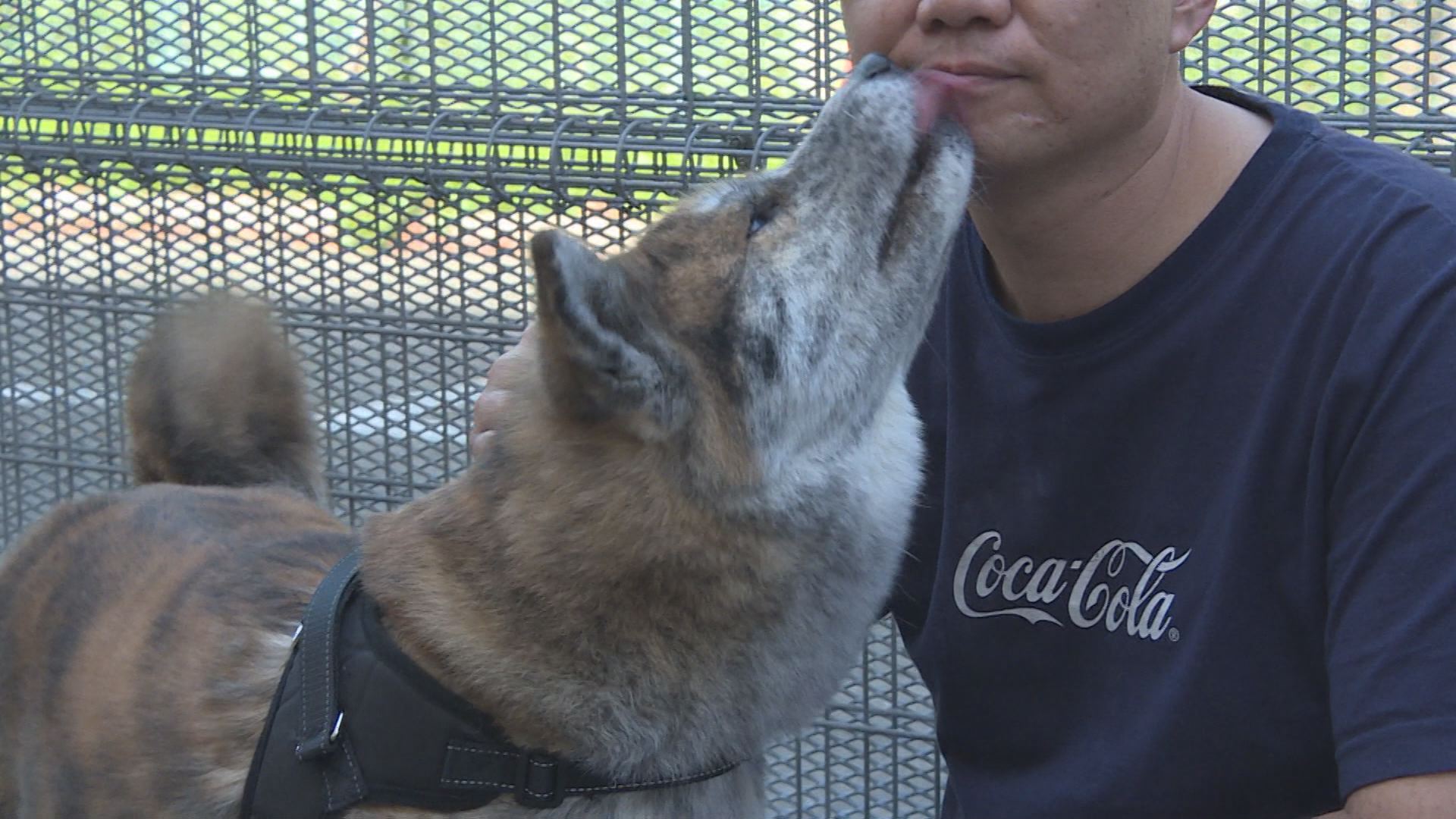 保護犬「ゆず」が新しい家族のもとに、旅立ちました！