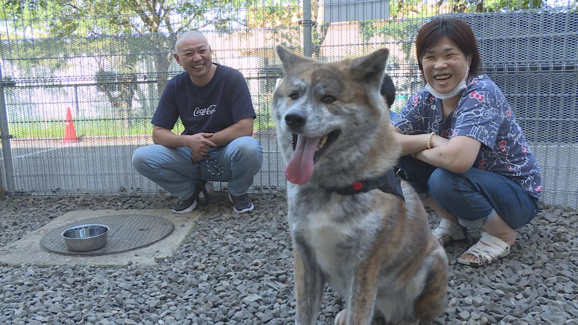 保護犬「ゆず」が新しい家族のもとに、旅立ちました！