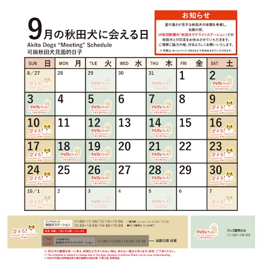2023年9月に「秋田犬ステーション」で「秋田犬に会える日時」についてお知らせいたします。