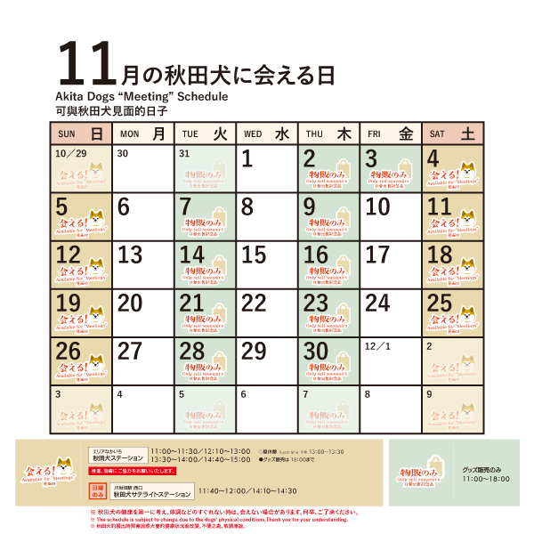 2023年11月に「秋田犬ステーション」で「秋田犬に会える日時」についてお知らせいたします。