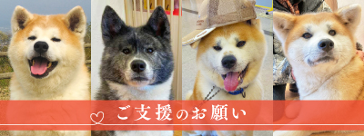 ご支援のお願い