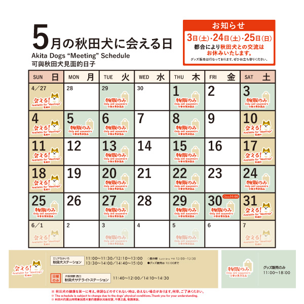 2025年5月に「秋田犬ステーション」で「秋田犬に会える日時」についてお知らせいたします。